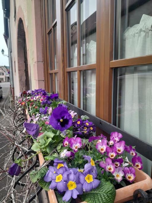 Gite Boniface Pour 2 Pers Bergheim Exterior photo