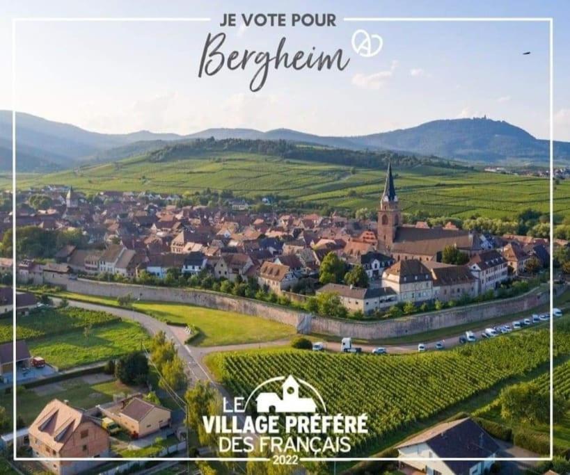 Gite Boniface Pour 2 Pers Bergheim Exterior photo